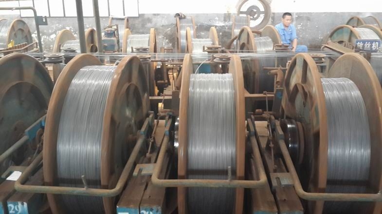 O baixo bronze do fio de aço carbono revestiu 036gkg para a borda do pneu
